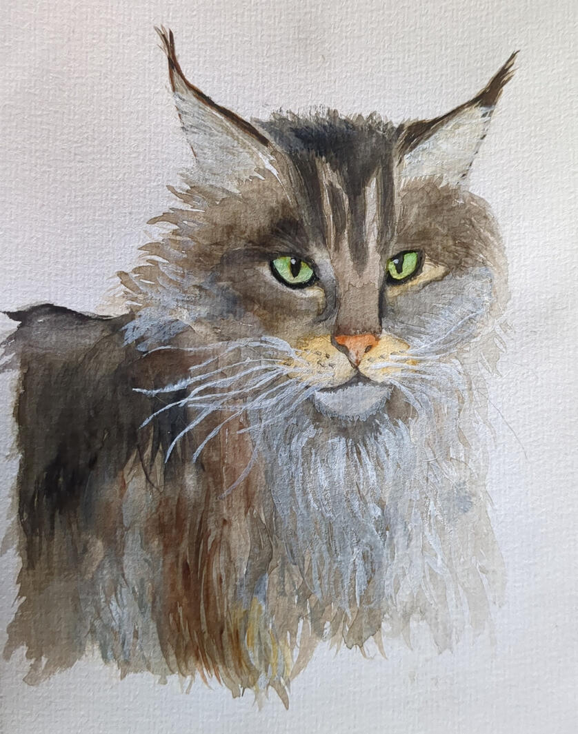 Yukon, Aquarelle + gouache, 14,8 x 21 cm (A5)