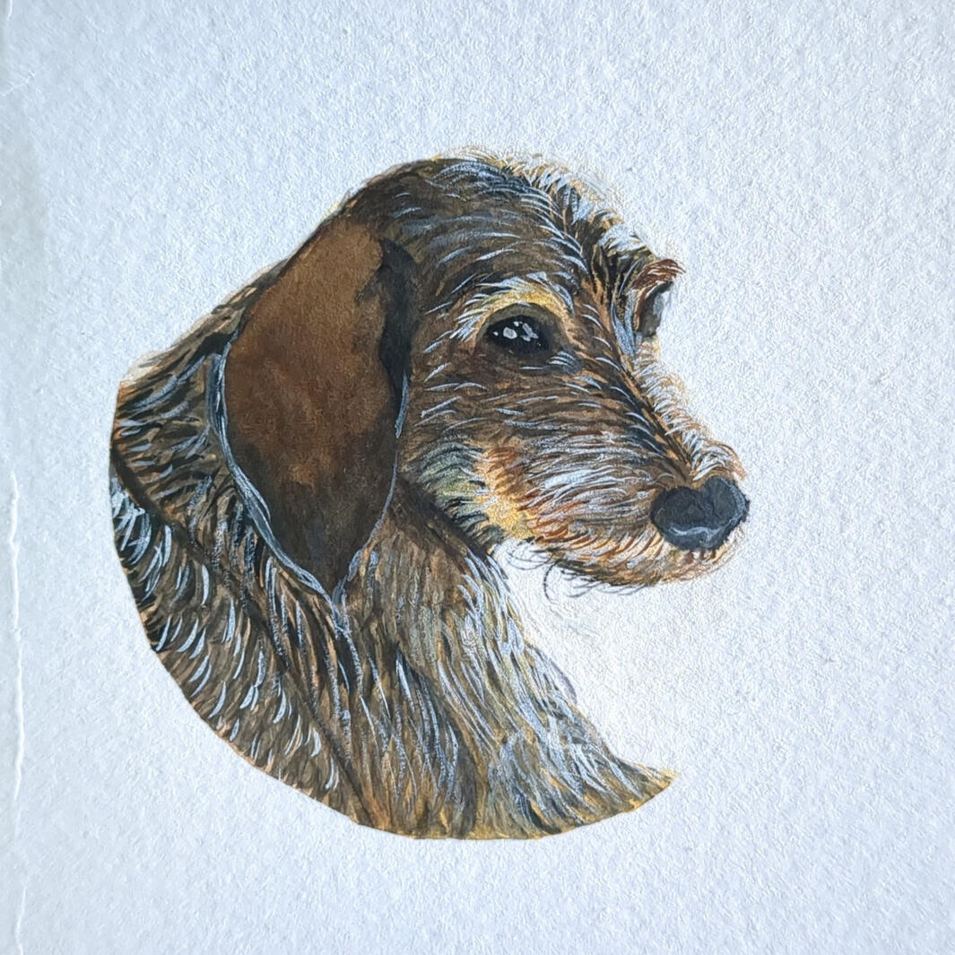 Seppl, Aquarelle + gouache, 10,5 x 14,8 cm (A6)