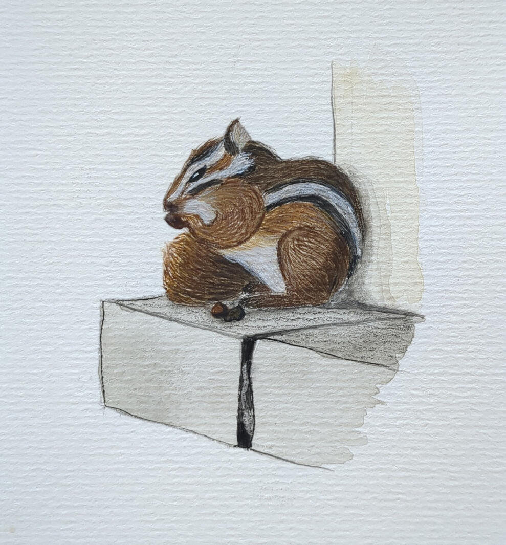 Jeff, Aquarelle + gouache + crayon de couleur, 10,5 x 14,8 cm (A6)