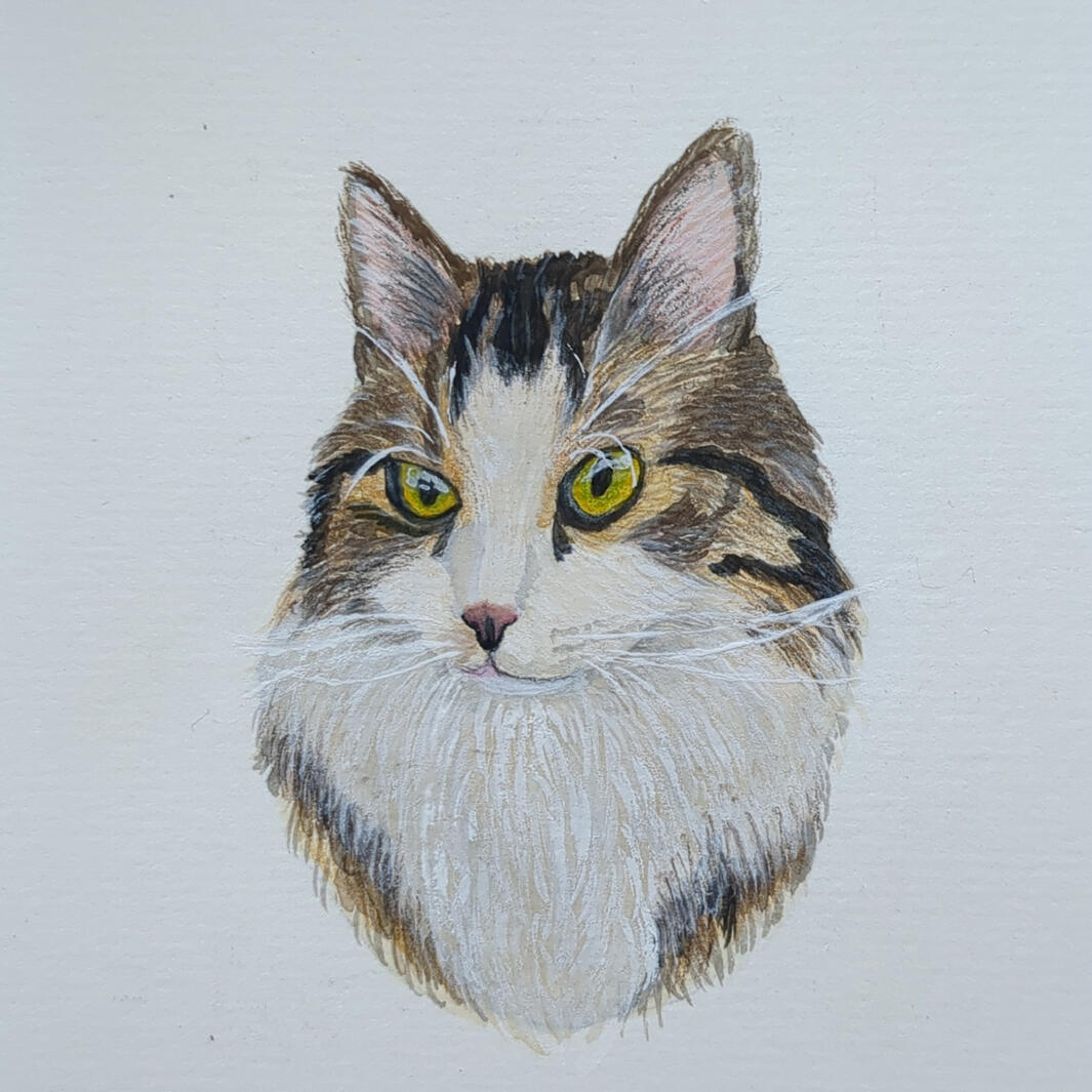 Scratchy, Aquarelle + gouache + crayon de couleur, 10,5 x 14,8 cm (A6)