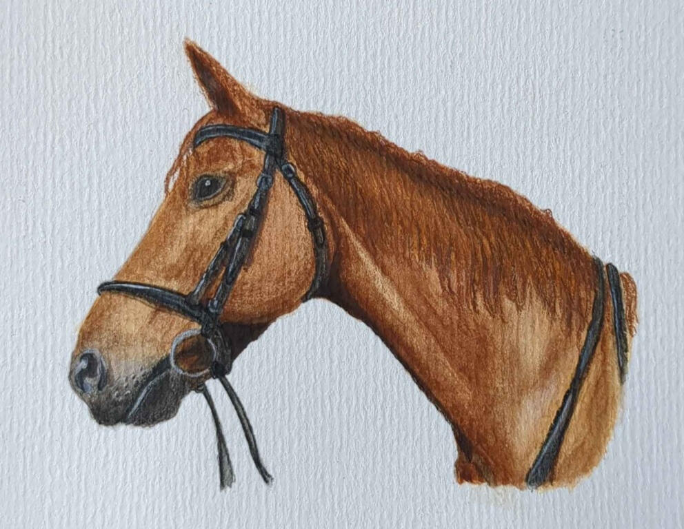 Prinz, Aquarelle + gouache + crayon de couleur, 10,5 x 14,8 cm (A6)