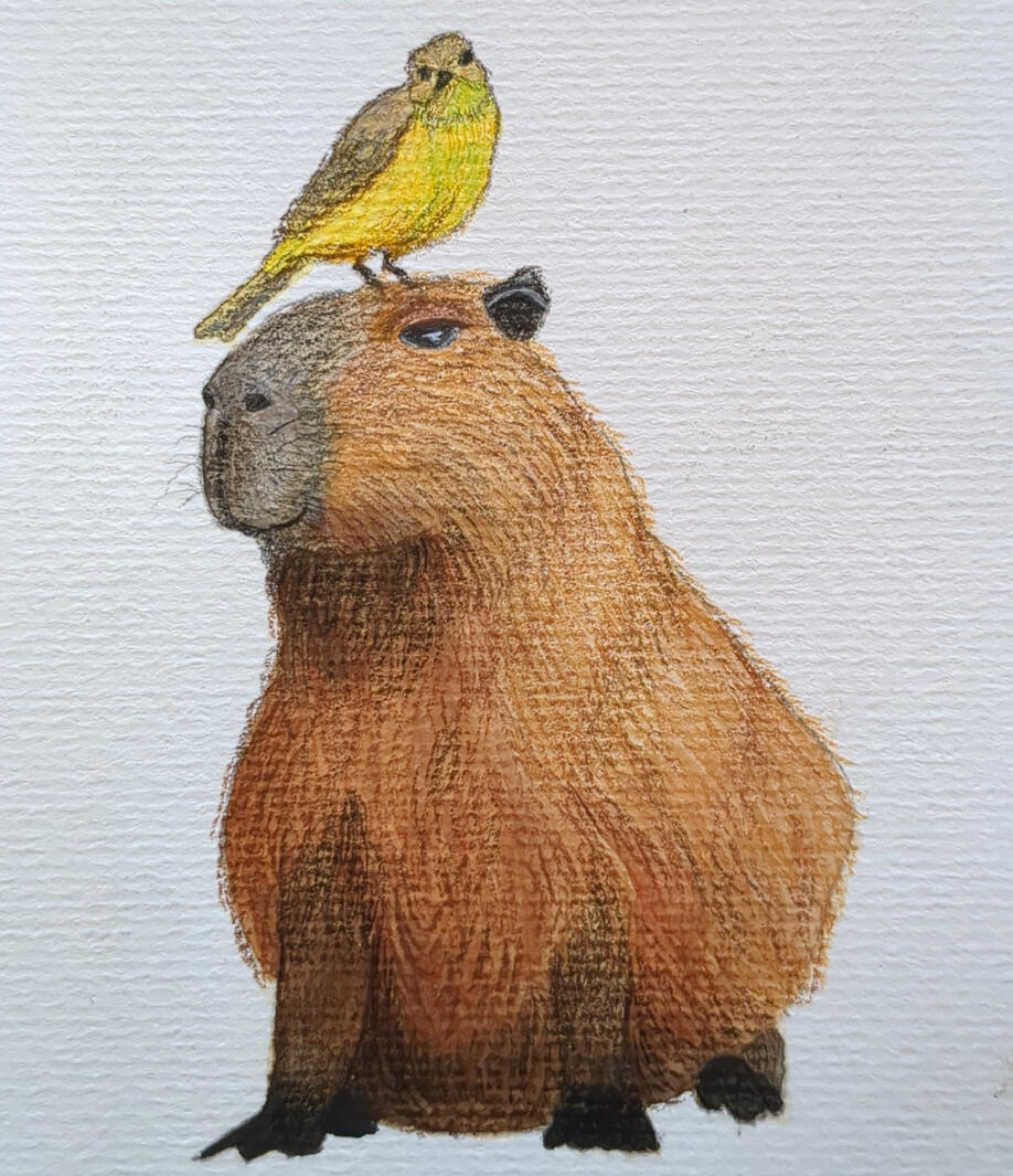 Capybara + Vogel, Aquarelle + gouache + crayon de couleur, 10,5 x 14,8 cm (A6)