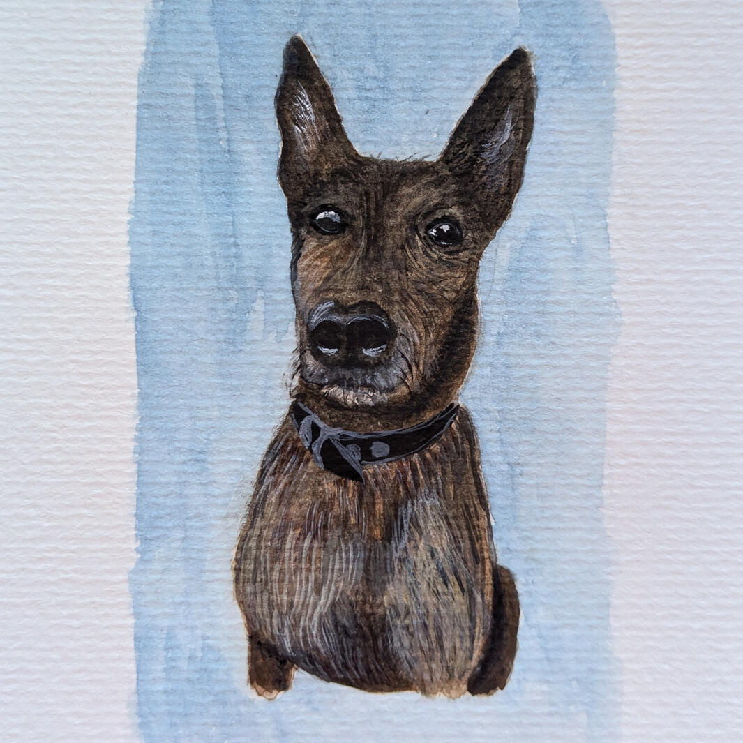 Tigra, Aquarelle + gouache, 10,5 x 14,8 cm (A6)